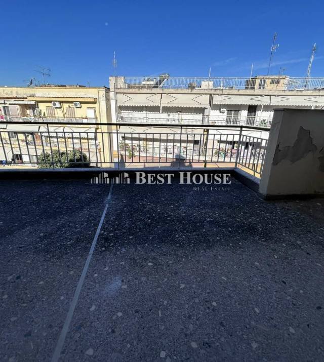 16 Z7129 Nees Photo.jpg